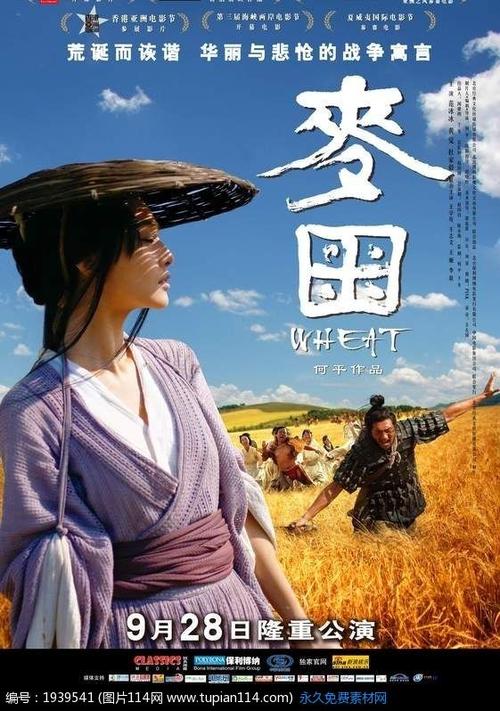 香港驾照高仿版本